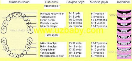 bolalarda sut tishlarining chiqishi 4